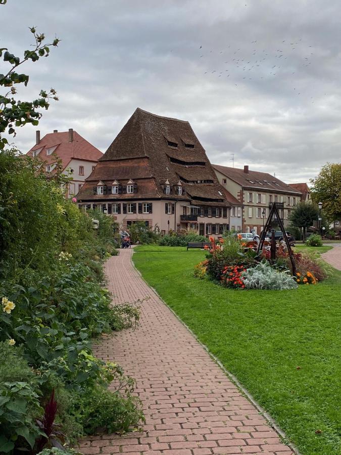 Studio Moderne Tout équipé Wifi - Parking gratuit - Proche de la Nature Wissembourg Extérieur photo