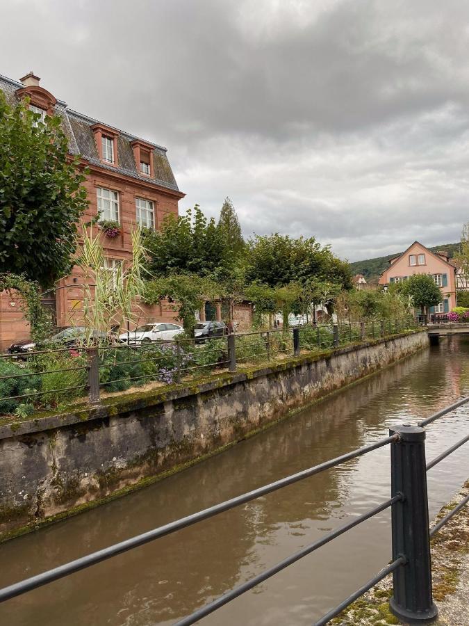 Studio Moderne Tout équipé Wifi - Parking gratuit - Proche de la Nature Wissembourg Extérieur photo