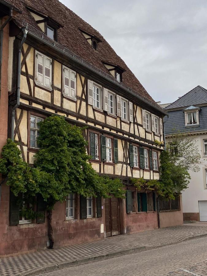 Studio Moderne Tout équipé Wifi - Parking gratuit - Proche de la Nature Wissembourg Extérieur photo