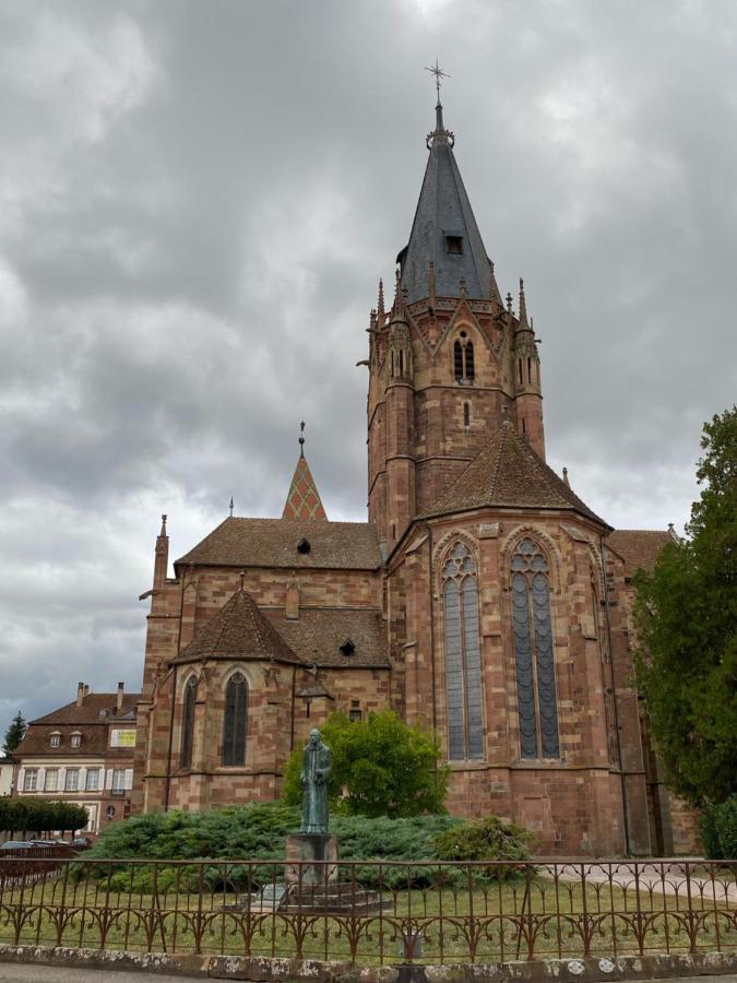 Studio Moderne Tout équipé Wifi - Parking gratuit - Proche de la Nature Wissembourg Extérieur photo