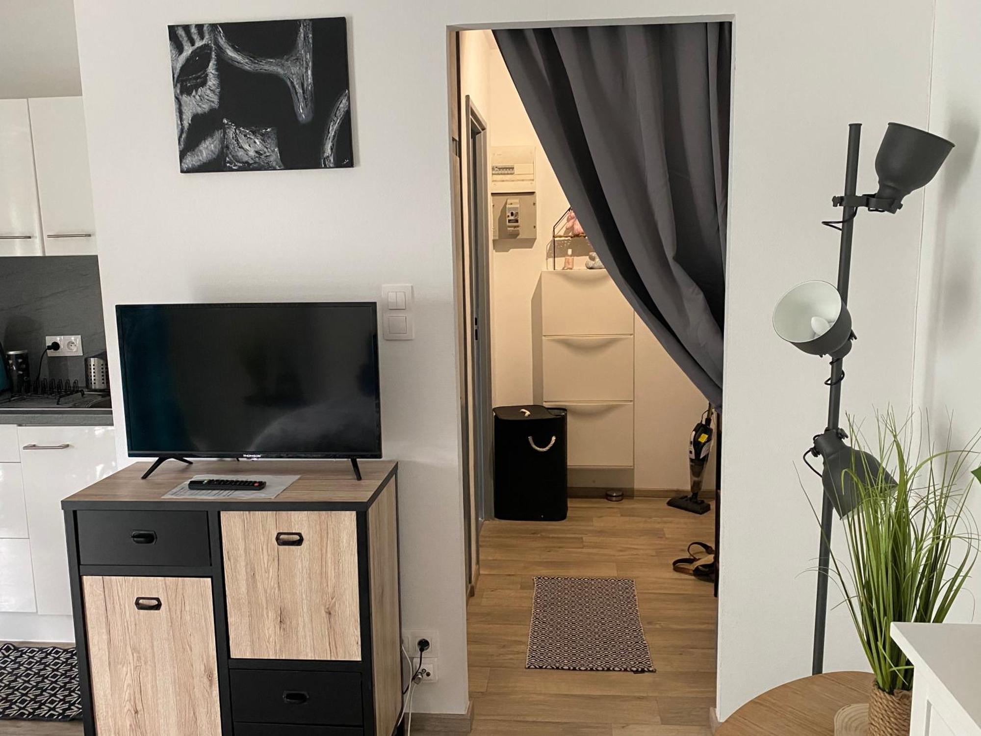 Studio Moderne Tout équipé Wifi - Parking gratuit - Proche de la Nature Wissembourg Extérieur photo