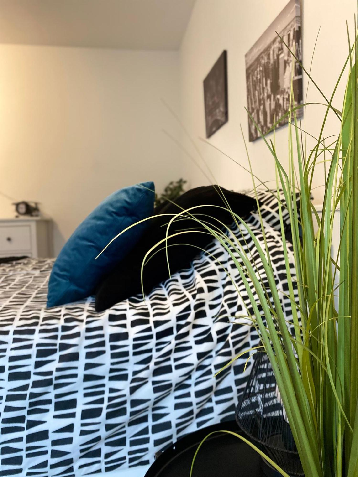 Studio Moderne Tout équipé Wifi - Parking gratuit - Proche de la Nature Wissembourg Extérieur photo